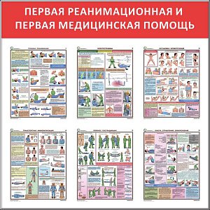 Стенд Первая реанимационная и первая медицинская помощь 6 плакатов А3 (1100х1100; Пластик ПВХ 4 мм, алюминиевый профиль; )